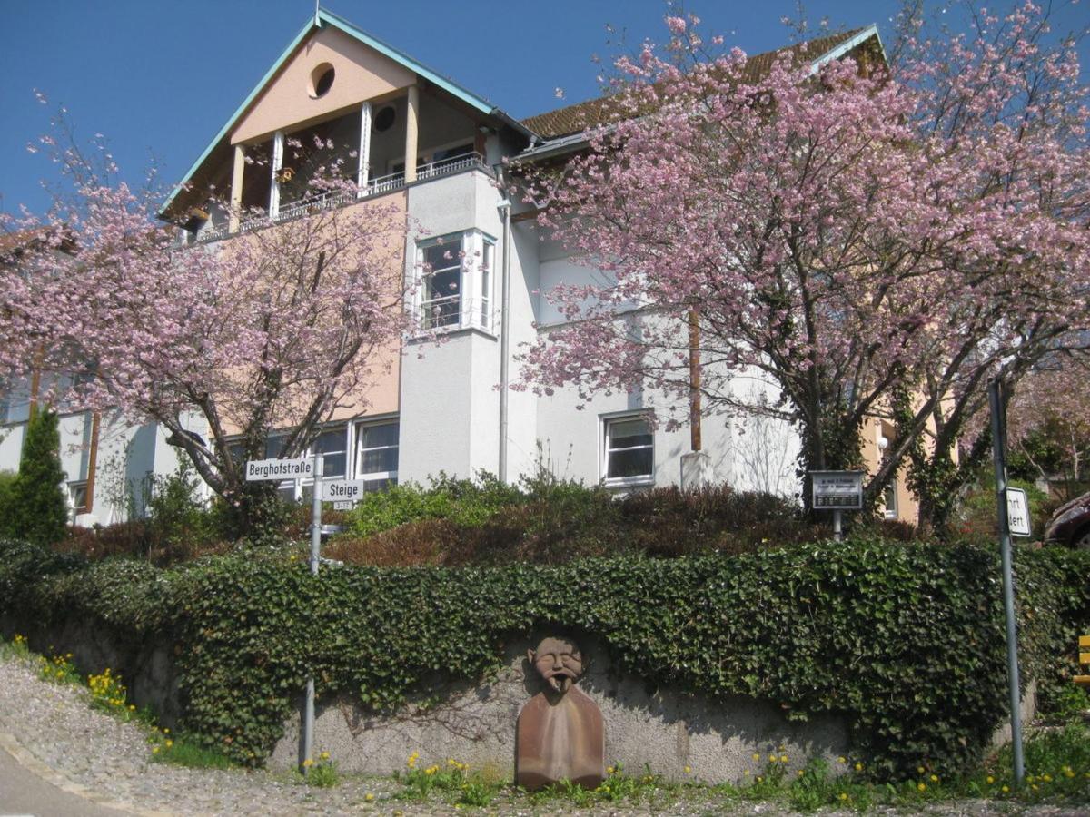 Ferienappartements-Ferienwohnung Steige Schramberg Exterior photo